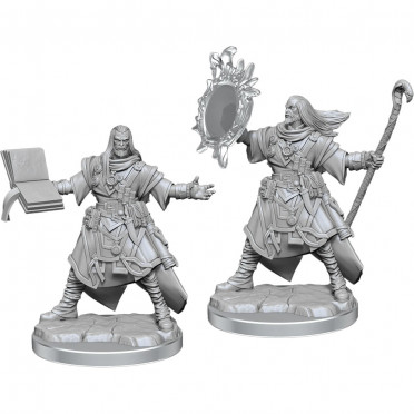 Buy Pathfinder Legendary Cuts - Male Human Wizard - Wizkids ...