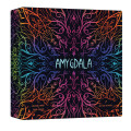 Amygdala All-In Exclusive Edition 0