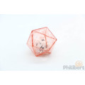 20-sided double dice 2