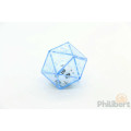 20-sided double dice 4