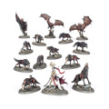 Age of Sigmar : Soulblight Gravelords - Fangs of the Blood Queen 1