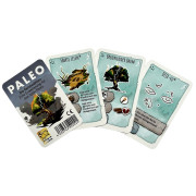 Paleo - Die Geistesblitze