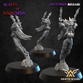 White Angel Miniatures - Elfes Noirs - Furies Elfes Noirs 3