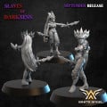 White Angel Miniatures - Elfes Noirs - Dark Elf Furies 5