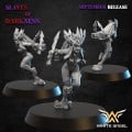 White Angel Miniatures - Elfes Noirs - Dark Elf Furies 7