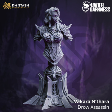 DM Stash - Under Darkness : Vakara's Bust
