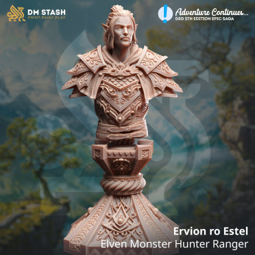 DM Stash - Adventure Continues : Ervion Bust