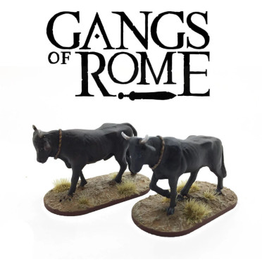 Gangs of Rome - Oxen