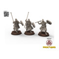 West Human - x3 Royal Guard on Foot - Davale Games 0