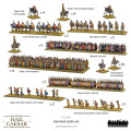 Hail Caesar Epic Battles - Hannibal Battle Set 5