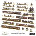 Hail Caesar Epic Battles - Hannibal Barca's Carthaginian Army 1