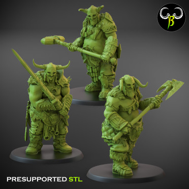 Ogres - x3 Valarjar Chosens V1 - ClayBeastCreation