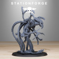 Station Forge – Hive Monster – Xenarid Assassin 1