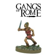 Gangs of Rome - Fighter Decimus