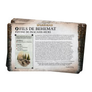 Age of Sigmar : Pack de Faction - Fils de Behemat 2