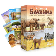 Ecosystem - Savanna