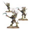 Age of Sigmar : Order   – Sylvaneth Kurnoth Hunters 2