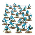 Age of Sigmar : Order - Seraphon Skinks 1