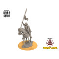 Grey Castle - Captain Mounted - Davales 0