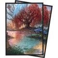 Magic The Gathering : Bloomburrow Sleeves 1