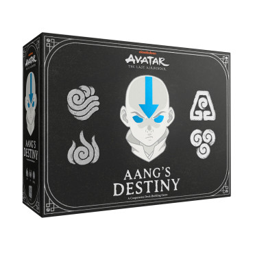 Avatar The Last Airbender : Aangs Destiny