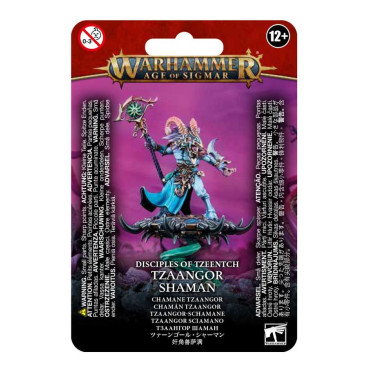 Age of Sigmar : Chaos - Tzeentch Arcanites Tzaangor Shaman