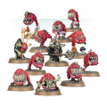 Age of Sigmar : Destruction - Gloomspite Gitz Squig Herd 1