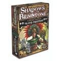 Shadows of Brimstone - Blood Priestess Hero Pack 0