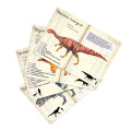 Puzzle Dinosaures 500 Pièces - Muséum National d'Histoire Naturelle 3