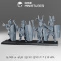 Rise Miniatures - Samnite Wars - Armée Complète Samnite - 28/32 mm 8