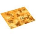 Tapis - 60 x 44 - Simple Face avec marquage Nexus Pariah 0