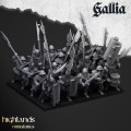 Highlands Miniatures - Gallia -Bundle Army Of Gallia 1000 Pts 6