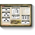 Flames of War - 21st Panzerdivision Army Deal 1