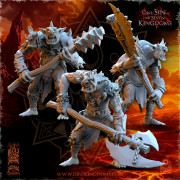 The Beholder Miniatures - Royaumes de la Ruine - Trolls