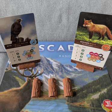 Cascadia - Porte cartes 3D