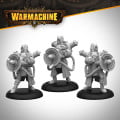 Warmachine: Cygnar Storm Forge Command Cadre 4