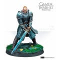 Game of Thrones Miniatures Game - Core Set 5