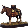 7TV - Expedition Mule 1A 0