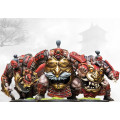 Conquest - Yoroni - Conquest Cohort 2