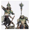 Age of Sigmar : Soulblight Gravelords- Squelettes Raclemorts 4