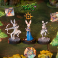 Cast n Play - Héros de la Fôret - Peuple Lapin 1