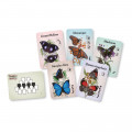 Papillons Célèstes 3