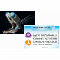 Bioviva Planète : Mers et Océans 4