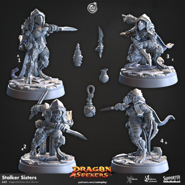 Cast n Play - Dragon Seekers - Traqueuses