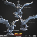 Cast n Play - Dragon Seekers - Faucons Planeurs 0