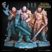 Cast n Play - Donjon de Thamarya - Capes Bleu