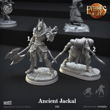Cast n Play - Echos de la Vie - Ancien Chacal