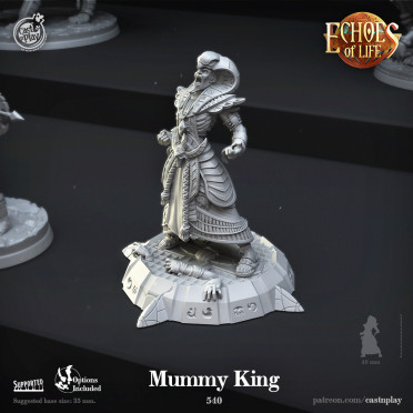 Cast n Play - Echos de la Vie - Roi Momie