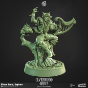 Cast n Play - Bosquet d'Elvenwood - Erphen le Barde