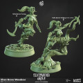 Cast n Play - Elvenwood Grove - Grove Wanderer 1